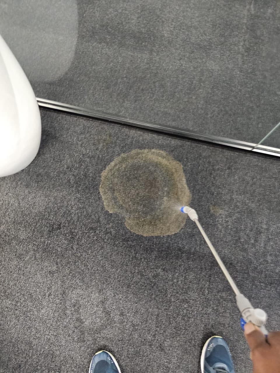 Auzclean cleaning project 2