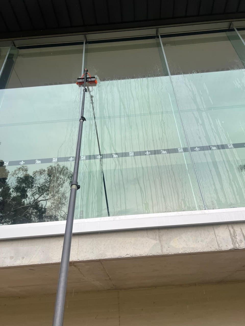 Auzclean cleaning project 12